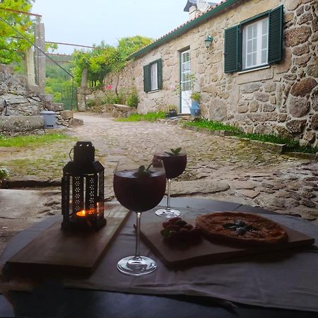 Casa Das Japoneiras Paredes de Coura Εξωτερικό φωτογραφία