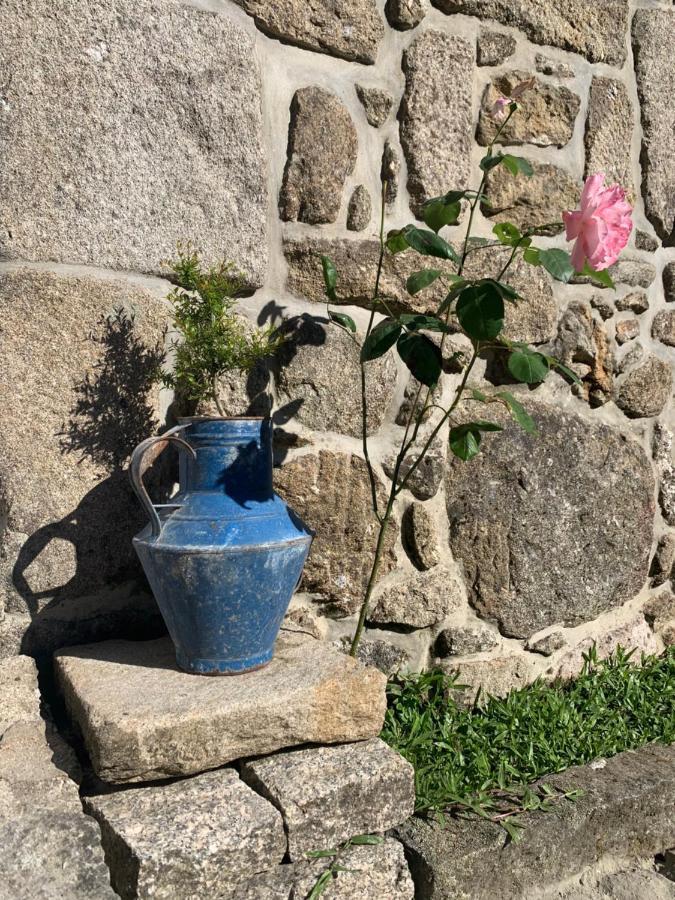Casa Das Japoneiras Paredes de Coura Εξωτερικό φωτογραφία