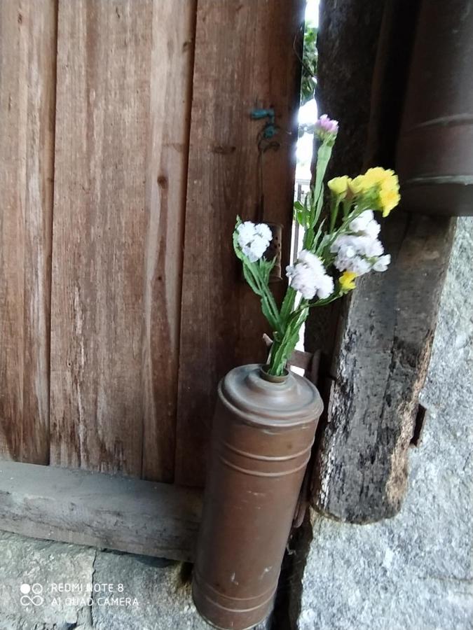 Casa Das Japoneiras Paredes de Coura Εξωτερικό φωτογραφία