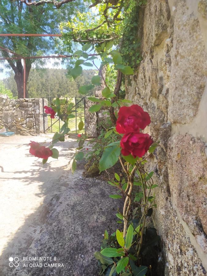 Casa Das Japoneiras Paredes de Coura Εξωτερικό φωτογραφία